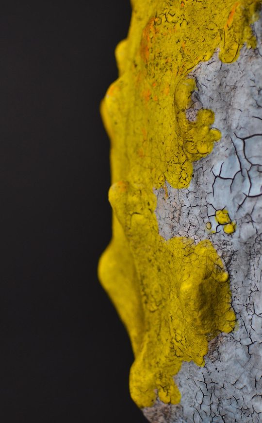 OBJECT FROM INSIDE10